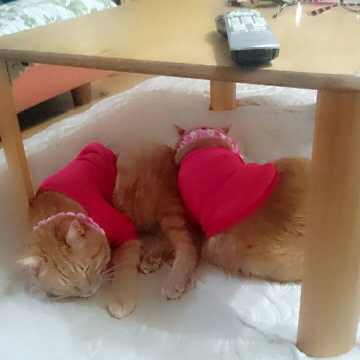 C83be1d3 9890 45d7 acaf bdbc238cfc4d 1516170149461