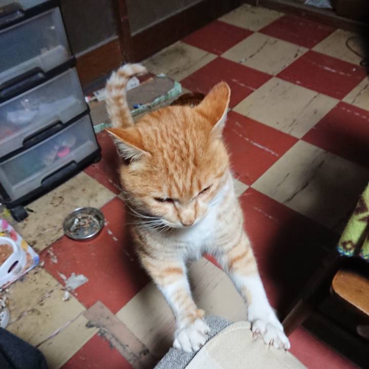 C83c201f fe34 4c37 acc5 a17e604112d2 1578081240466