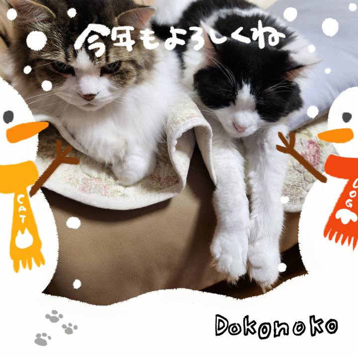 C83c4000 ed70 4637 9235 767ced519a9e 1704140791883