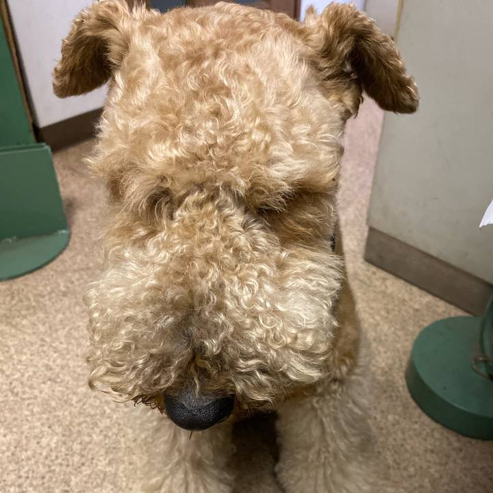 C83c8c23 9300 4b8e 8b66 c186fcf453a7 1586344422661