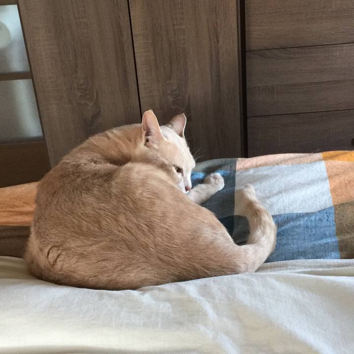 C83c9db7 dcc7 4e6c b98d d912793358f8 1592896969450