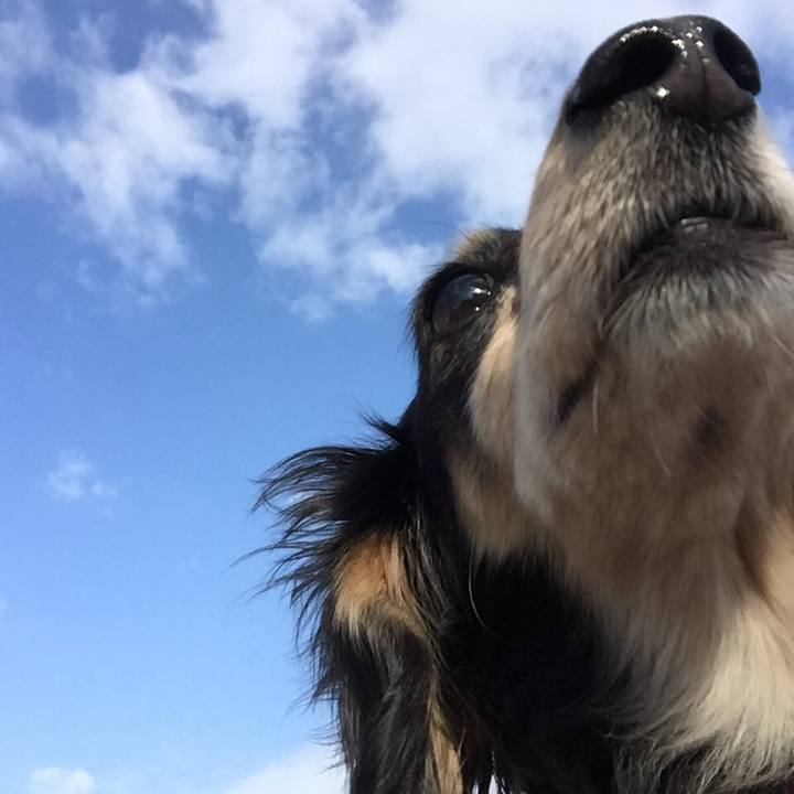 C83cc0f5 9dfb 49ce 88ab 711da8f2a148 1519949618573