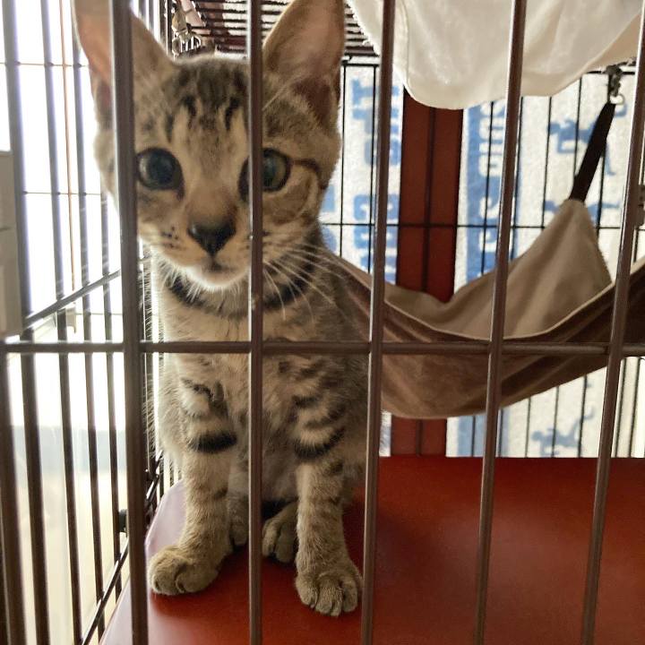 C83cc5bf 4798 40dc b57a 79954437ce1d 1661260686030