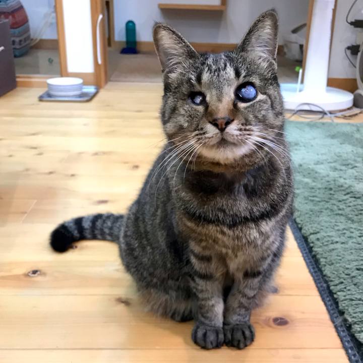 C83cdf1a 8ba0 46ab b70a 1cf62385852f 1611904506985