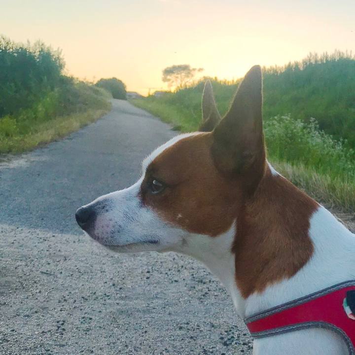 C83cf124 d428 4649 94bd 564c2382dfbf 1528911822001