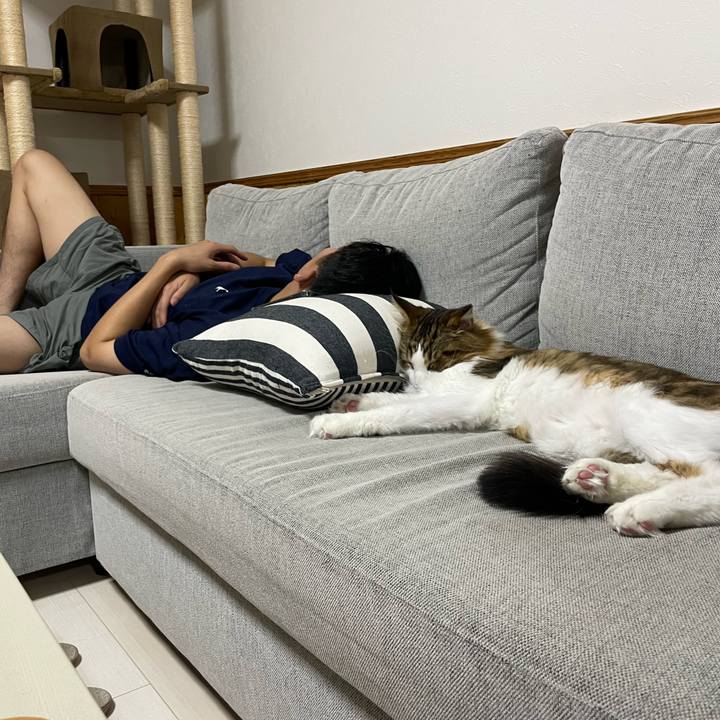 C83d19d5 09fc 489e b4f9 63dd5c692582 1662634744804