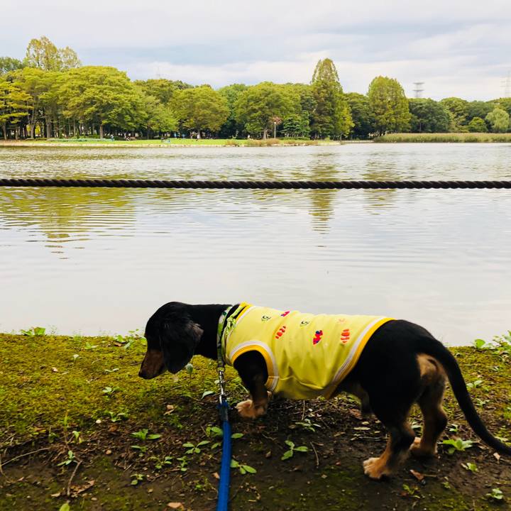 C83d3a6a 466e 4f45 afc2 3fb220922ec1 1537184029209