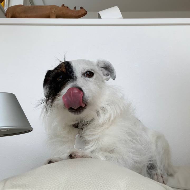 C83d536a fce9 4691 bcb2 aae712ef9460 1592629583062