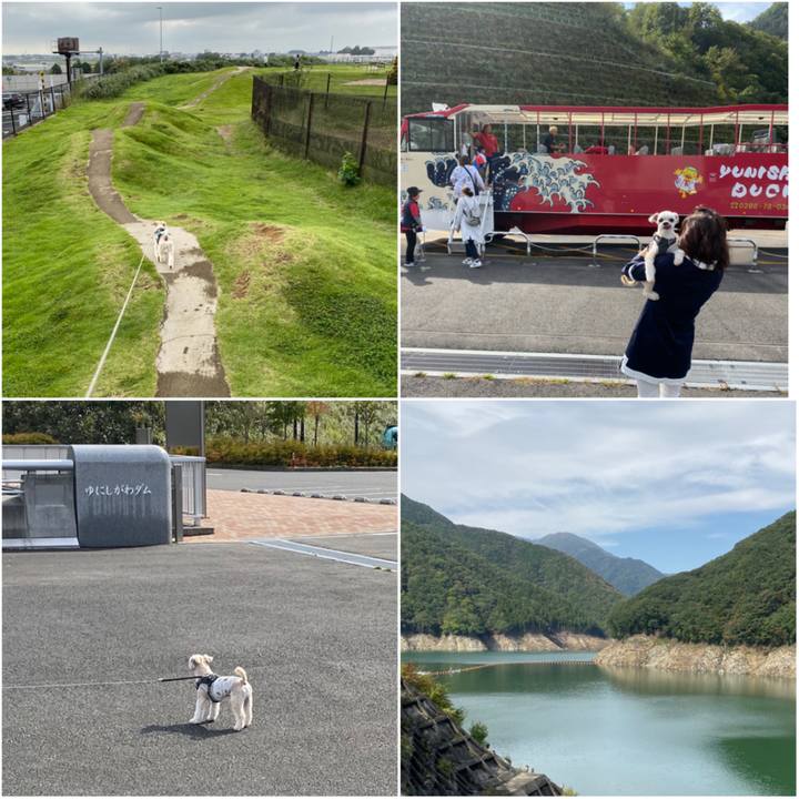 C83d8486 a46f 41b6 8c8a 06a934651d3d 1570499201199