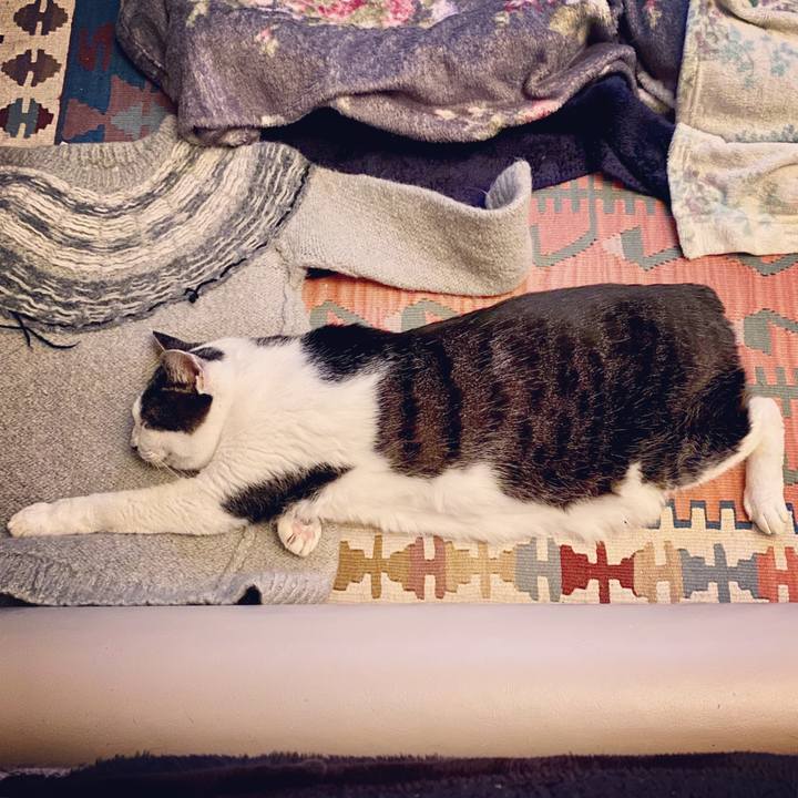 C83db15d 47e0 447e 8446 e568c1c7f0db 1578398055637