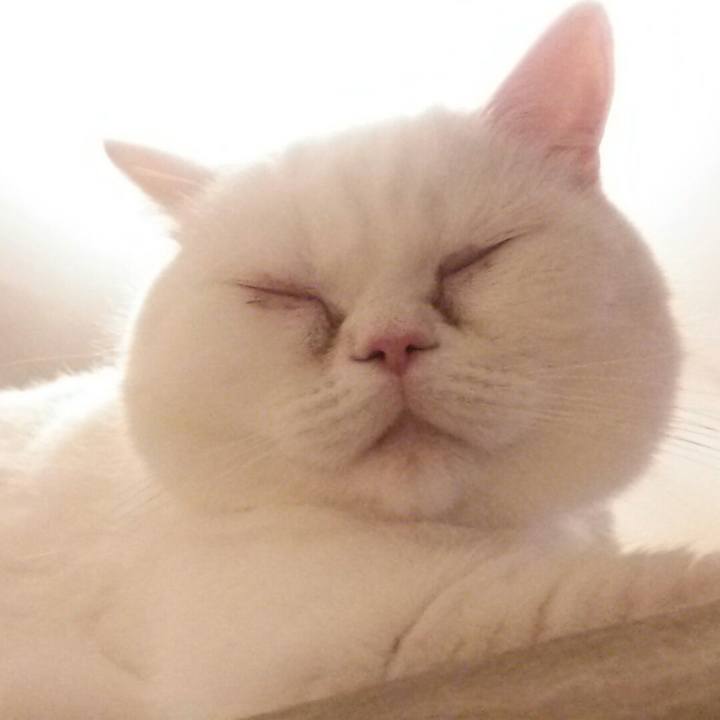 C83dc291 b0cf 46d7 98ab a97ecaf39bce 1519474242005