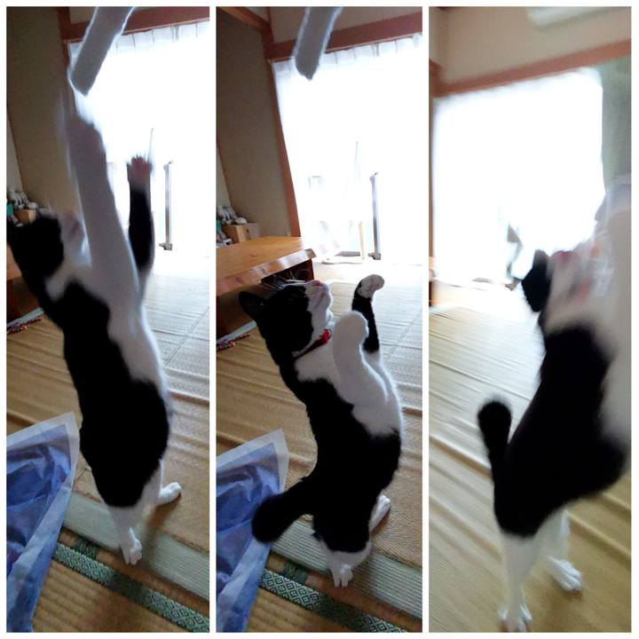 C83df8e8 ab30 43c0 9550 e902ec40d477 1625023640168