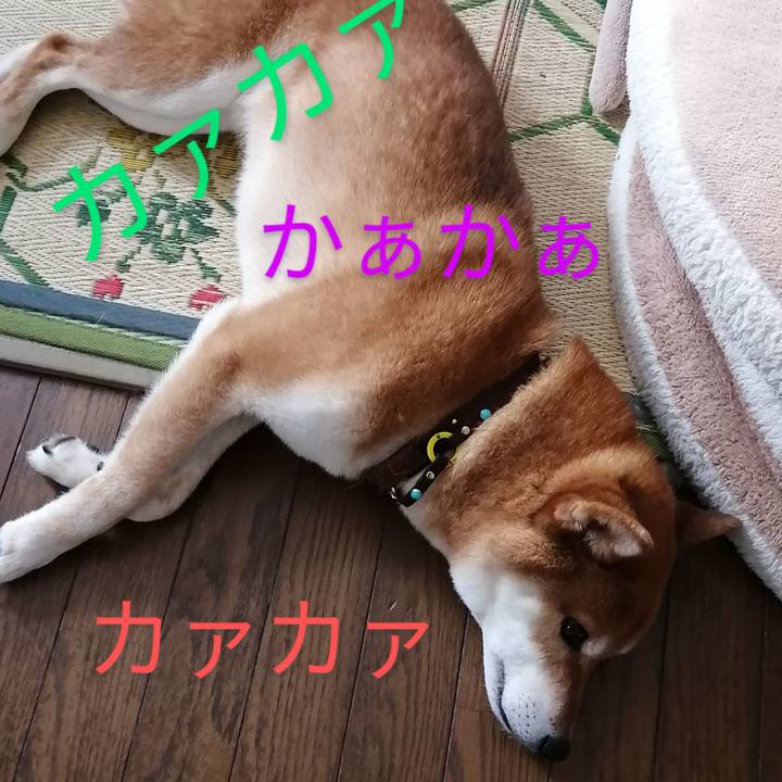 C83e127d cf7b 456e a6a2 d0c6286d845c 1623721551604