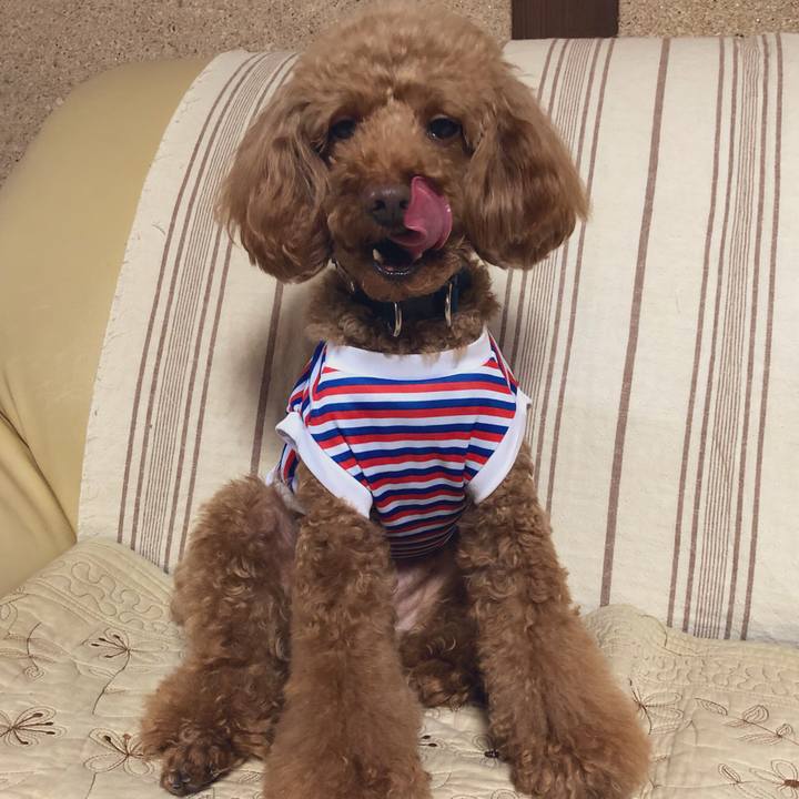 C83e3260 1d2c 497f b48b 929df002033a 1558749336702