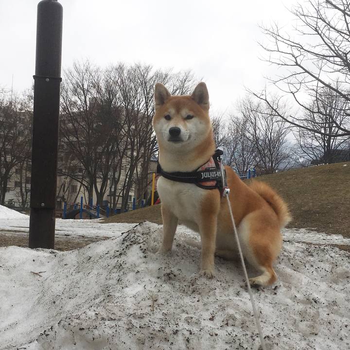 C83e3bbe 805b 410e 9d84 cb800595b3a4 1522560617578