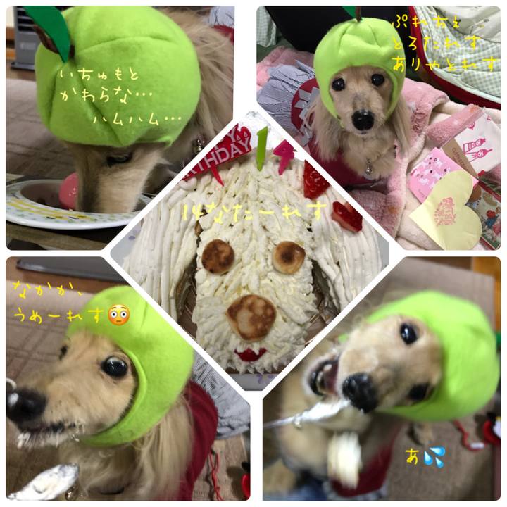 C83e416d 84bd 451b bdd6 219d55949950 1550225074619