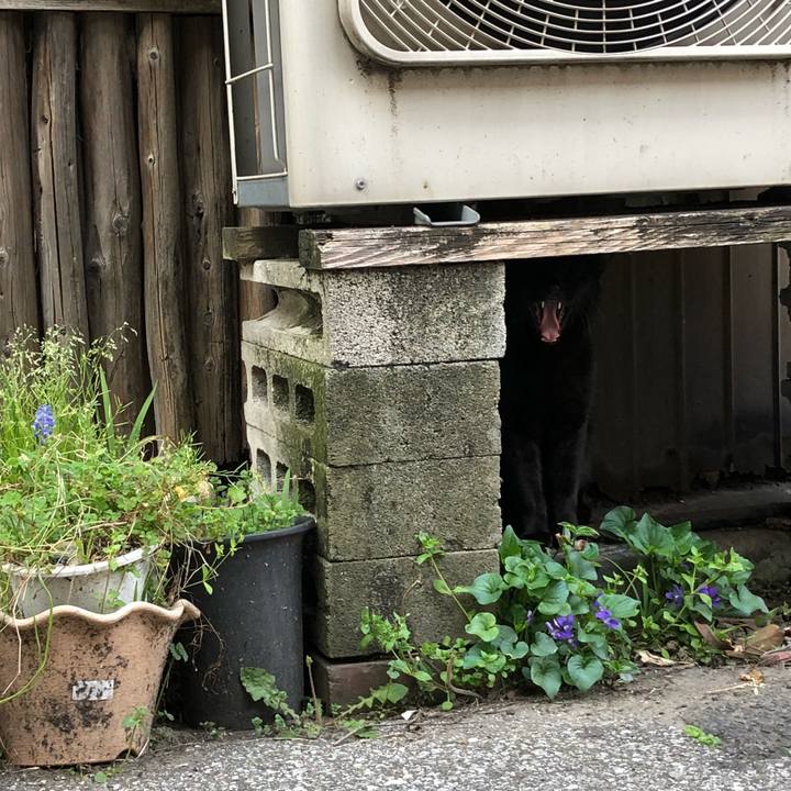 C83e4b0d b315 45bf 919b 40d3234005ff 1522227683682