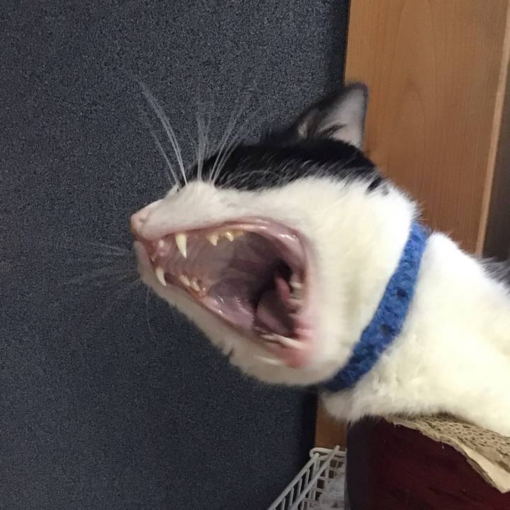 C83e7993 edb3 4ac7 a6c7 52355f5a791f 1753006985114