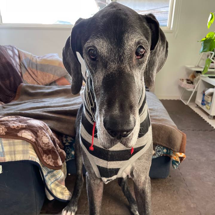 C83eaeb7 297e 4c6d a0e3 047c05d0ed70 1643668347604