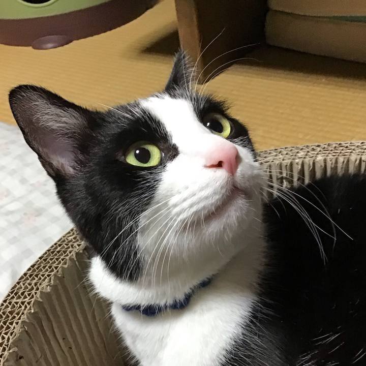 C83eb883 9d66 44e2 b754 9981005a4866 1702369751640