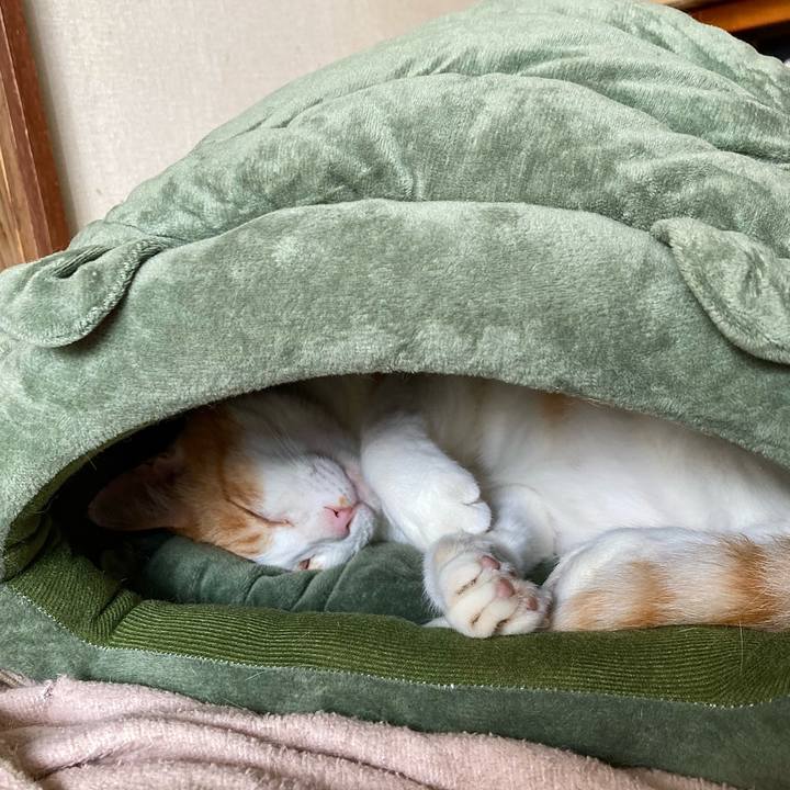 C83ec55d 19ca 410b 902c 87b2dcd354b8 1662696980205