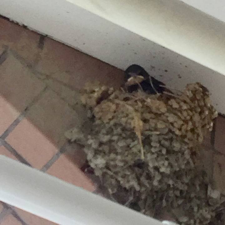 C83eccaf ed05 46ab aeea 3b603c223b12 1560657532516