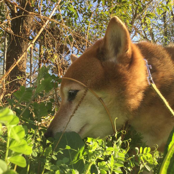 C83ee103 5b32 438c aeb9 10d92304059c 1616747067461