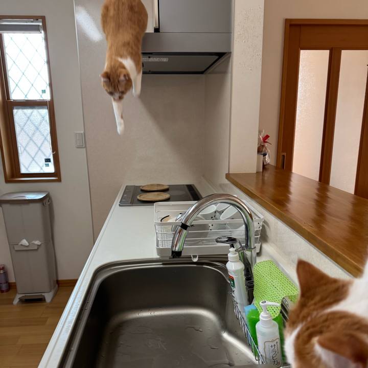 C83f7129 2bed 4240 93ad e2e47b1ff787 1773716856032