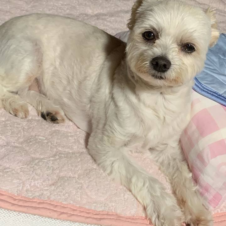 C83f8601 3979 4540 aa35 cba430f8d4f4 1592130103922