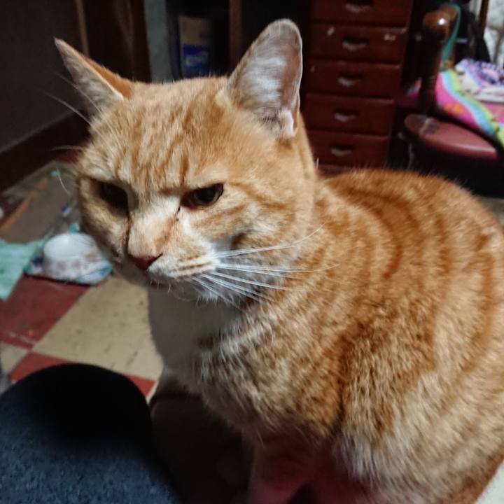 C83f97f6 0920 4cd9 8ca8 06785039ea66 1579203958101