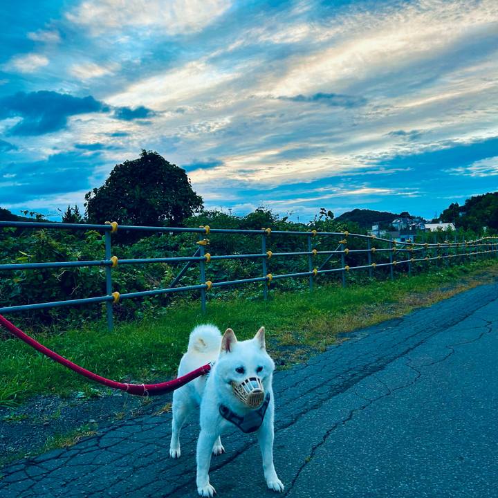 C83fcc1d e9d3 4326 ac09 a1e337de64ff 1758142732500