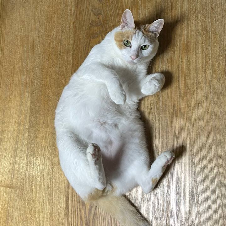 C83fef99 b4ce 43ba adb6 d4057ef4e148 1658357206132