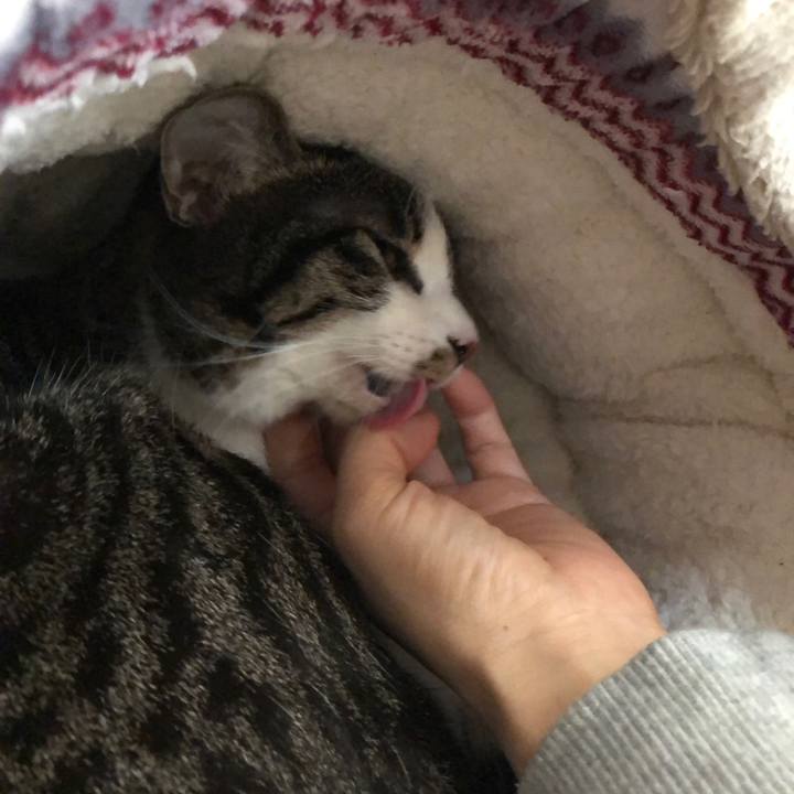 C8404c01 a24e 445c a0e9 e175ae82d716 1550331362334