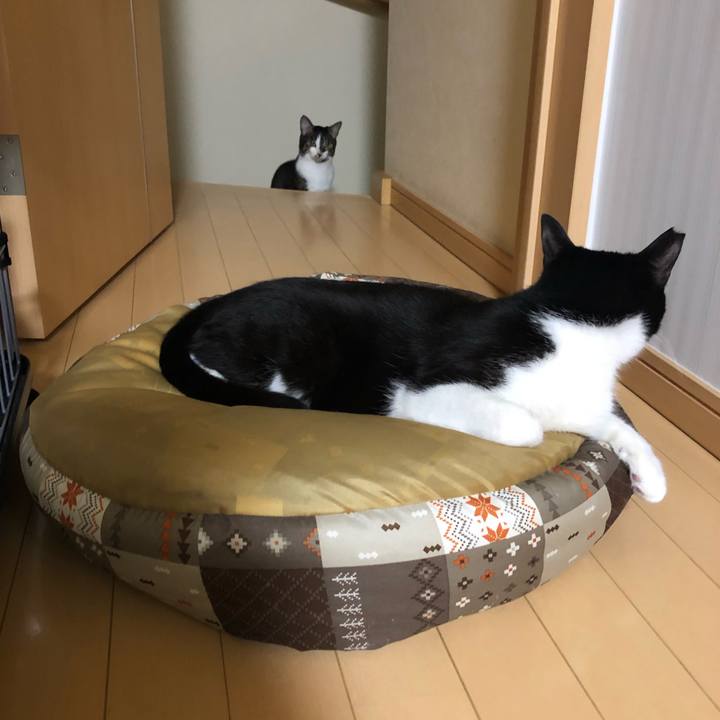 C8404d78 f44f 43de 994c 1b414f04553d 1553418490969