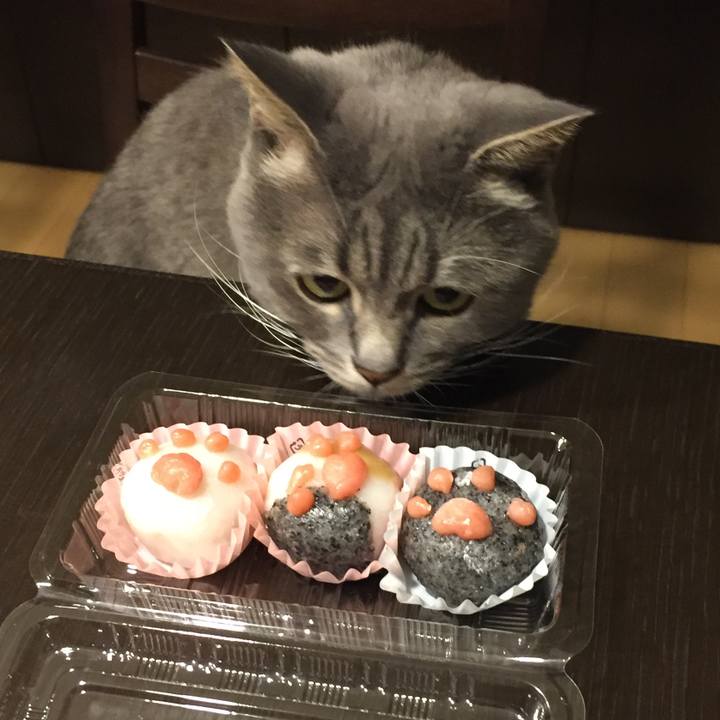 C8408b49 8703 4a87 9bb2 066a54644f34 1535538436460