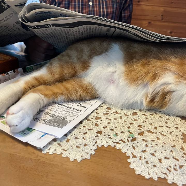 C840bf27 6daa 42dc bb50 48a338bd74d4 1680643912995