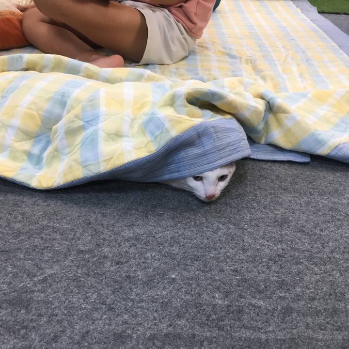 C840fa7b 2952 481f 8a0b 94ab01c5fd33 1536036751943