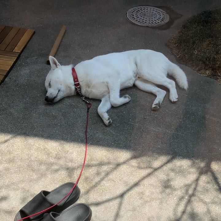 C84101d4 0c43 4708 baff 43ffb562382d 1521862515908