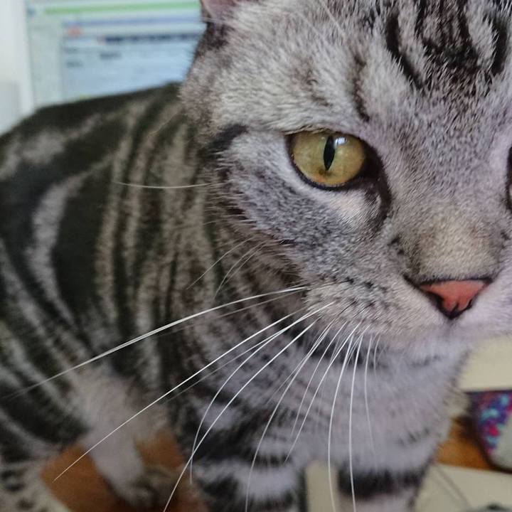 C84155a8 0a81 4dbc 9c1a aaf60d91635d 1536626937810