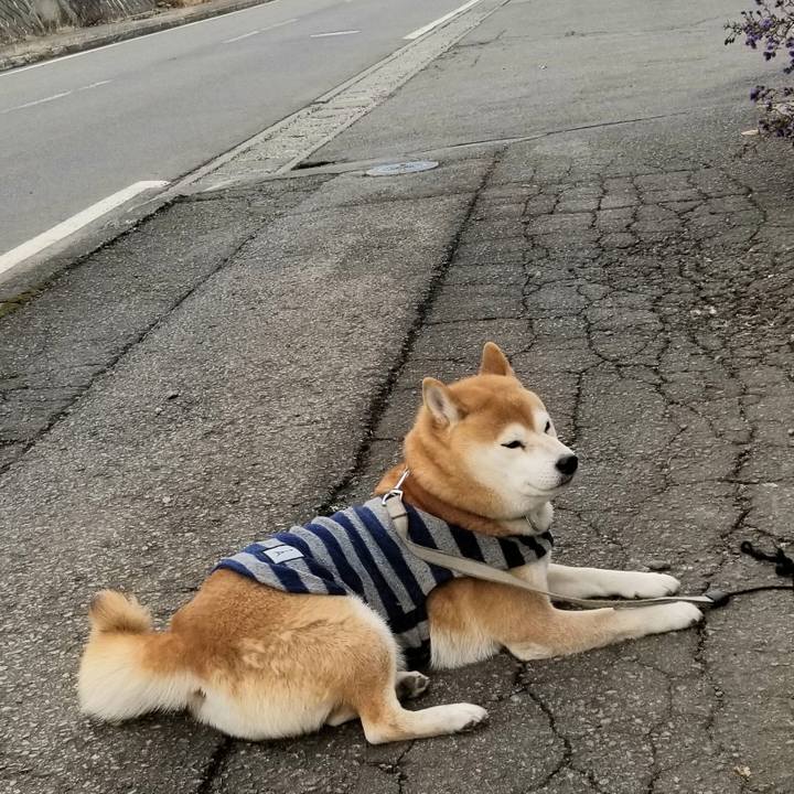 C8418df2 6f15 48fe a31e 7653eab97d17 1576988590195