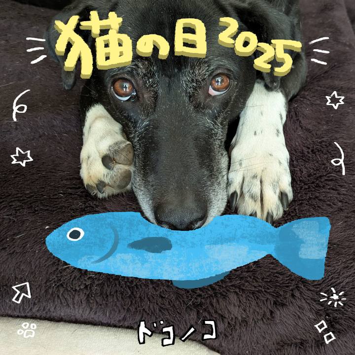 C841b61d d1ad 46a8 8744 f6fe745cb838 1740128948234