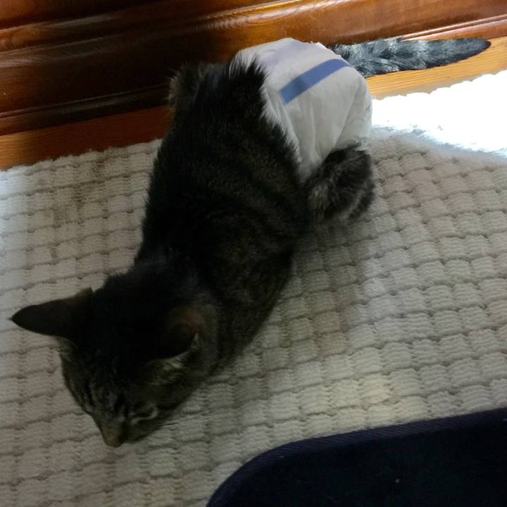 C841be44 f707 42df a089 3ed1d8175f80 1534412963274