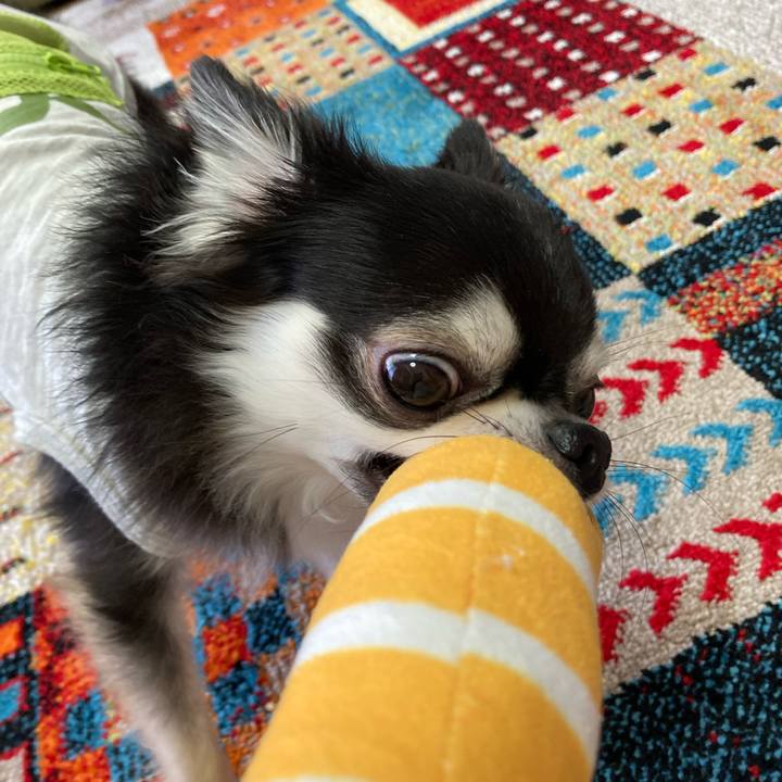 C841c5e4 be7d 4ea1 b343 f82f96e57529 1685289577390