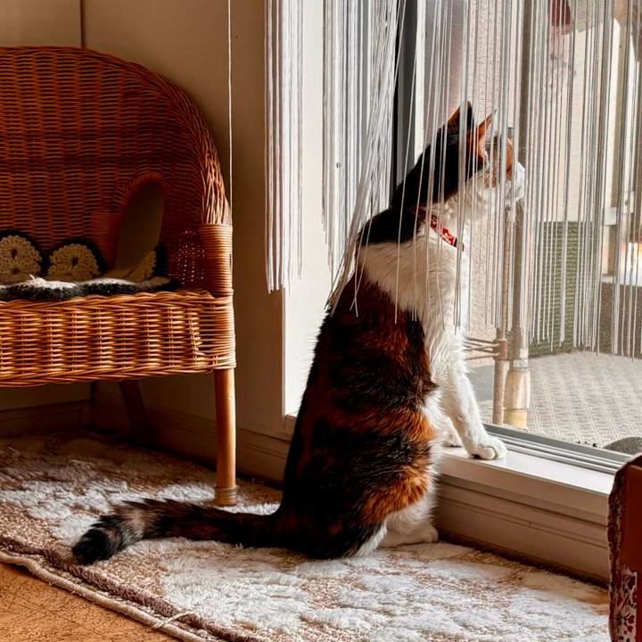 C841d22f 08ea 4287 8b04 ec485c1be4e8 1717242403001