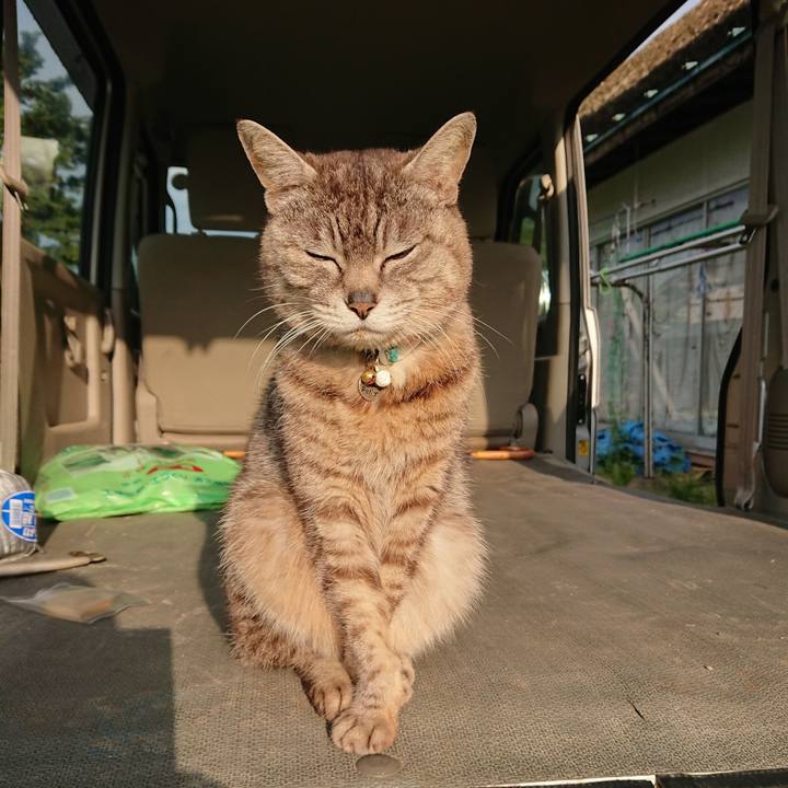 C8421931 c54b 4635 9b50 eef4771cd2e0 1559336718468