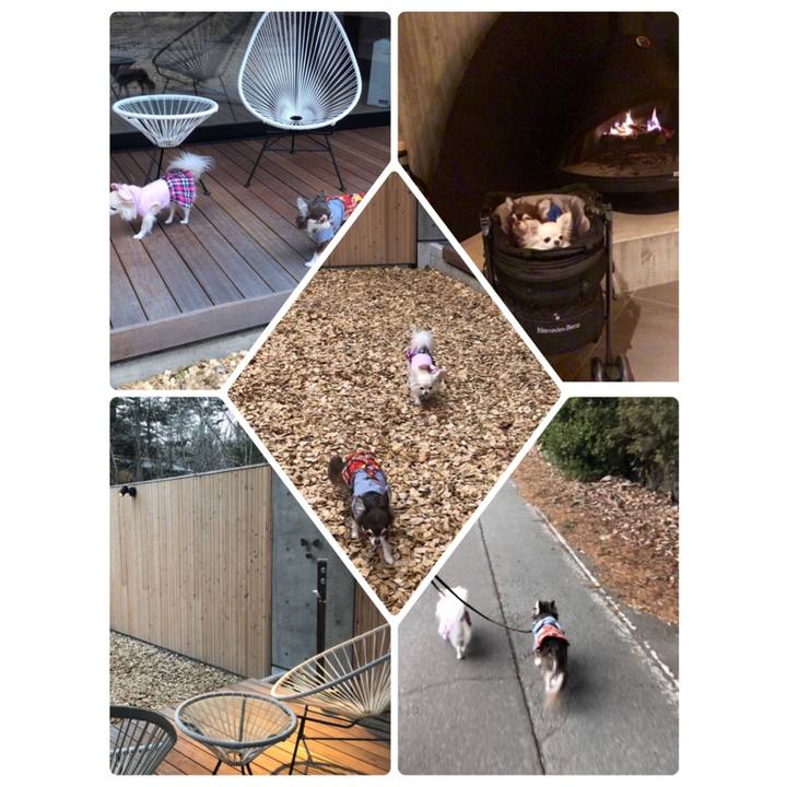 C84221e7 d2c1 4082 a654 001c22b08be8 1554515024660