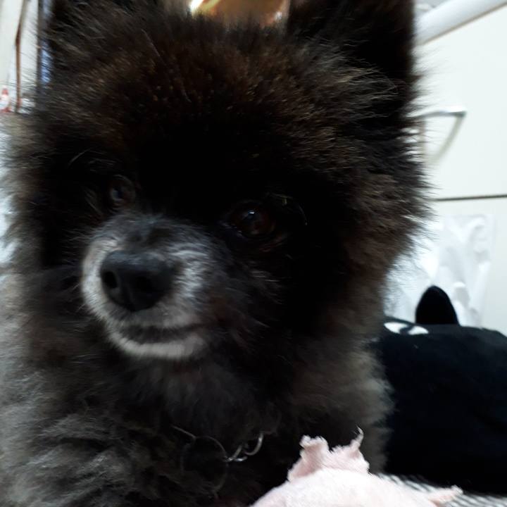 C8422d4a 6a27 44ce 854c c6a72a172b6d 1542313865556