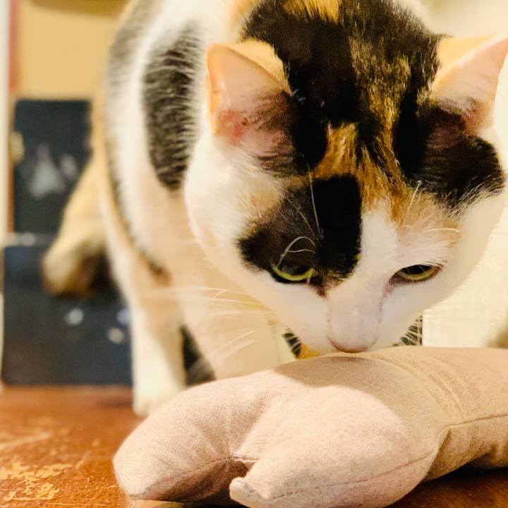 C8425d49 441e 4248 9859 e957a8a92861 1604198429359