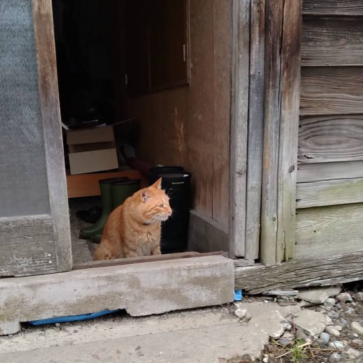 C842606e 569c 4ad0 9d2d b3fd531b6a1e 1689720738825