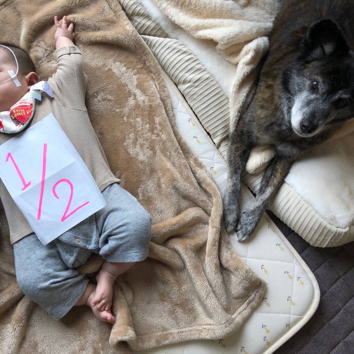 C8426cf5 5a0e 4f84 a4a6 6896a05f91c6 1711834769817